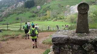 trail des citadelles 2017 [upl. by Alithia277]