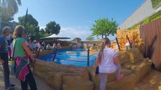 Ven a visitar Marineland Mallorca [upl. by Arta]