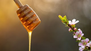 Australian Manuka Medicinal Honey from Australias Manuka [upl. by Michael]