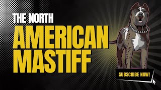 The North American Mastiff [upl. by Stagg]