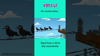 Vogel total elektrisiert von neuen Kollegen familyguythequestforstuff fyp familyguybirdistheword [upl. by Schnorr]