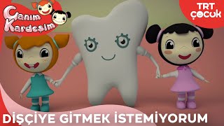 Canım Kardeşim  Dişçiye Gitmek İstemiyorum [upl. by Huntington]