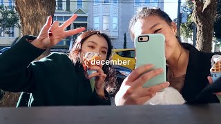 vlog DECEMBER DIARIES  hyulari [upl. by Woodberry511]