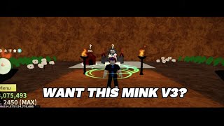 How to get Mink v2 and v3  Blox Fruit 2023 [upl. by Ainekahs]