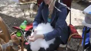 Spinning Angora from a live Angora Bunny [upl. by Llewen]