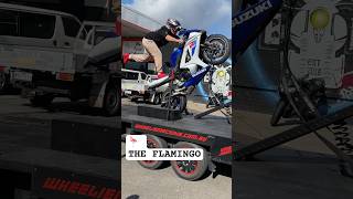 Doing the FLAMINGO WHEELIE ON SUZUKI GIXXER 1000 tricks wheelie [upl. by Seaden741]