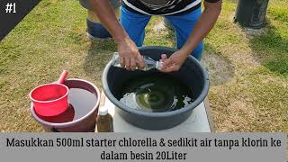 Chlorella Culture Step Tutorial [upl. by Anavi]