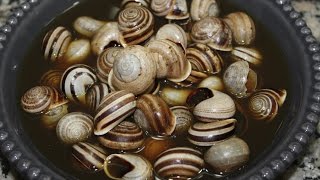 Les escargots à la marocaine  كيفية تحضير الحلزون على الطريقة المغربية [upl. by Jorgan]