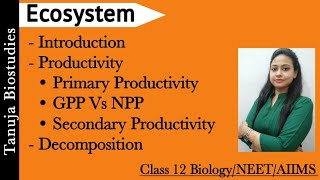 Ecosystem  Introduction  GPP Vs NPP  Decomposition Decomposer DetritusLeaching Class 12NEET [upl. by Megen]