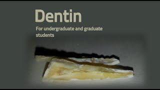 Dentin course [upl. by Leonidas]