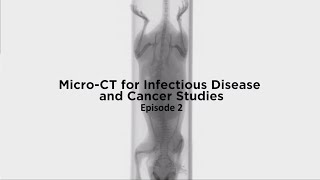 MicroCT for Infectious Disease and Cancer Studies Episode 2 Preclinical Imaging [upl. by Annej]