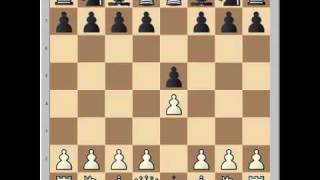 Mastering Chess Openings [upl. by Erised581]