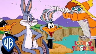 Looney Tuesdays  Iconic Duo Bugs and Daffy  Looney Tunes  WB Kids [upl. by Hartzell]