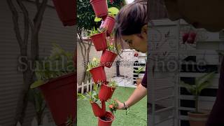 Planter Tower verticalgardening easydiy sunilassweethome [upl. by Tihor]