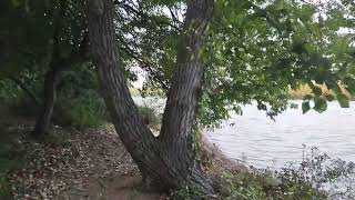 Lets walk by the Hempstead lake State Park [upl. by Disario]