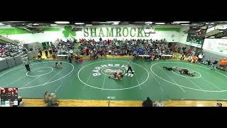 Div III Wrestling Sectional Tournament [upl. by Lleuqram]