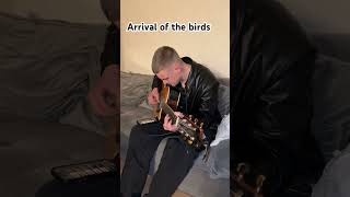 Arrival of the birds guitar [upl. by Eiramanad]