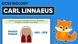 Carl Linnaeus  GCSE Biology [upl. by Dee Dee]