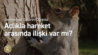 Deneyimsel Tasarım Öğretisi  Açlıkla hareket arasında ilişki var mı [upl. by Toft925]