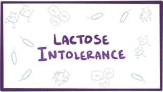 Lactose intolerance  causes symptoms diagnosis treatment amp pathology [upl. by Estes384]