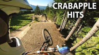 Boosting the BIGGEST Jumps at Whistler  Crabapple Hits  Jordan Boostmaster [upl. by Ahseinat]