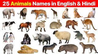 25 Animals Name in English amp Hindi With Pictures  25 जानवरों के नाम  Lists  Animals For Kids [upl. by Illib685]