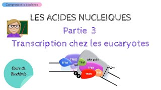 TRANSCRIPTION CHEZ LES EUCARYOTES  ACIDES NUCLEIQUES Partie 3  Biochimie Facile [upl. by Marquita273]