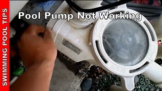 Pool Pump not Working Part 1 Pump not Priming [upl. by Kerri379]