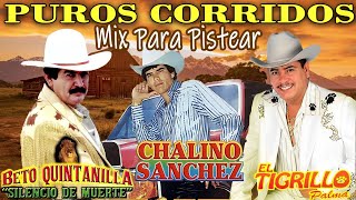 Puros Corridos Mix Para Pistear  Chalino SanchezBeto Quintanilla amp El Tigrillo Palma [upl. by Ainevul]