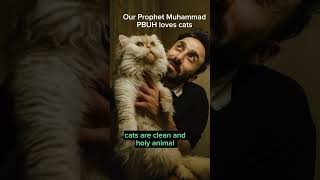 cats in islam cat islam [upl. by Lorenzana]