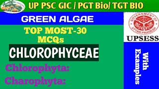 MCQs BASED ON CHLOROPHYCEAE GREEN ALGAE [upl. by Joella584]