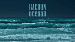 Racoon  Oceaan Lyrics [upl. by Nazario]