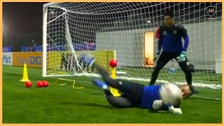 Professional Goalkeeper Training [upl. by Schlicher]