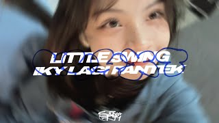 DJ LITTLE SWING X IKY LAGI PANTEK  KYYXT JARAN GOYANG😜🖐️ [upl. by Davidson]