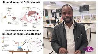 Improvement of Antimalarials efficacy by loading them into Saponinbased micelles [upl. by Aramoy]