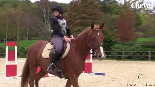 Coaching privé avec Karim Laghouag  le jeune cheval sur le cross [upl. by Ardisj]