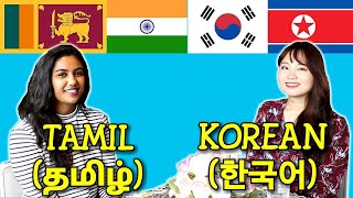 Similarities Between Tamil and Korean [upl. by Bisset]