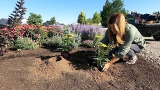 Planting 5 Varieties of Echinacea  They LOVE the Heat 🔥🌿🌻  Garden Answer [upl. by Fechter]