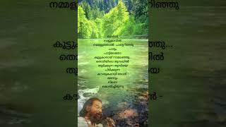 മറന്നുവോ malayalamlyrical song love [upl. by Rutherford67]