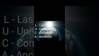 Last Universal Common Ancestor quotLUCAquot [upl. by Darooge]