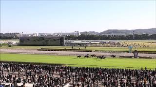 懐かしの関西特別競走馬場入場曲『サラブレッド・マーチ』。現地映像、阪神競馬場 [upl. by Pinchas]