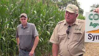 Conklin AgroVantage® Regional Field Day  Kimball MN Aug 13 2019 [upl. by Eerahs425]