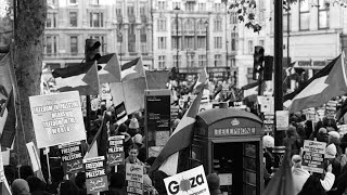 Catching a Protest on Film [upl. by Ulberto791]