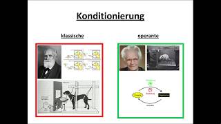 Klassische und operante Konditionierung erklärt [upl. by Lenoj836]