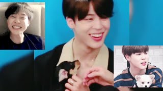 BTS Jimin With Dog MOMENTS  Puppies [upl. by Innoc985]