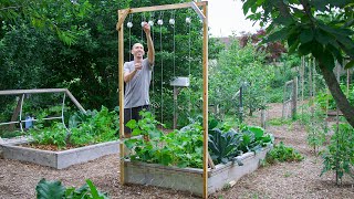 How to Build a Cucumber Trellis Using Only ONE PIECE of WOOD CHEAP and EASY Backyard Gardening [upl. by Caressa733]