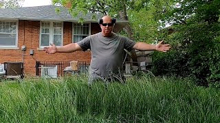 Homeowner SHOCKED at BACKYARD TRANSFORMATION [upl. by Aneda438]