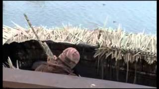 Canvasback Duck Hunting with Lucier Outfitters [upl. by Zetnauq606]