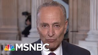 Chuck Schumer Slams President Donald Trump For Absurd Border Remark  Morning Joe  MSNBC [upl. by Atirec3]