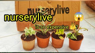 nurserylive plants unboxing Review succulents adenium naturelover [upl. by Ripp597]